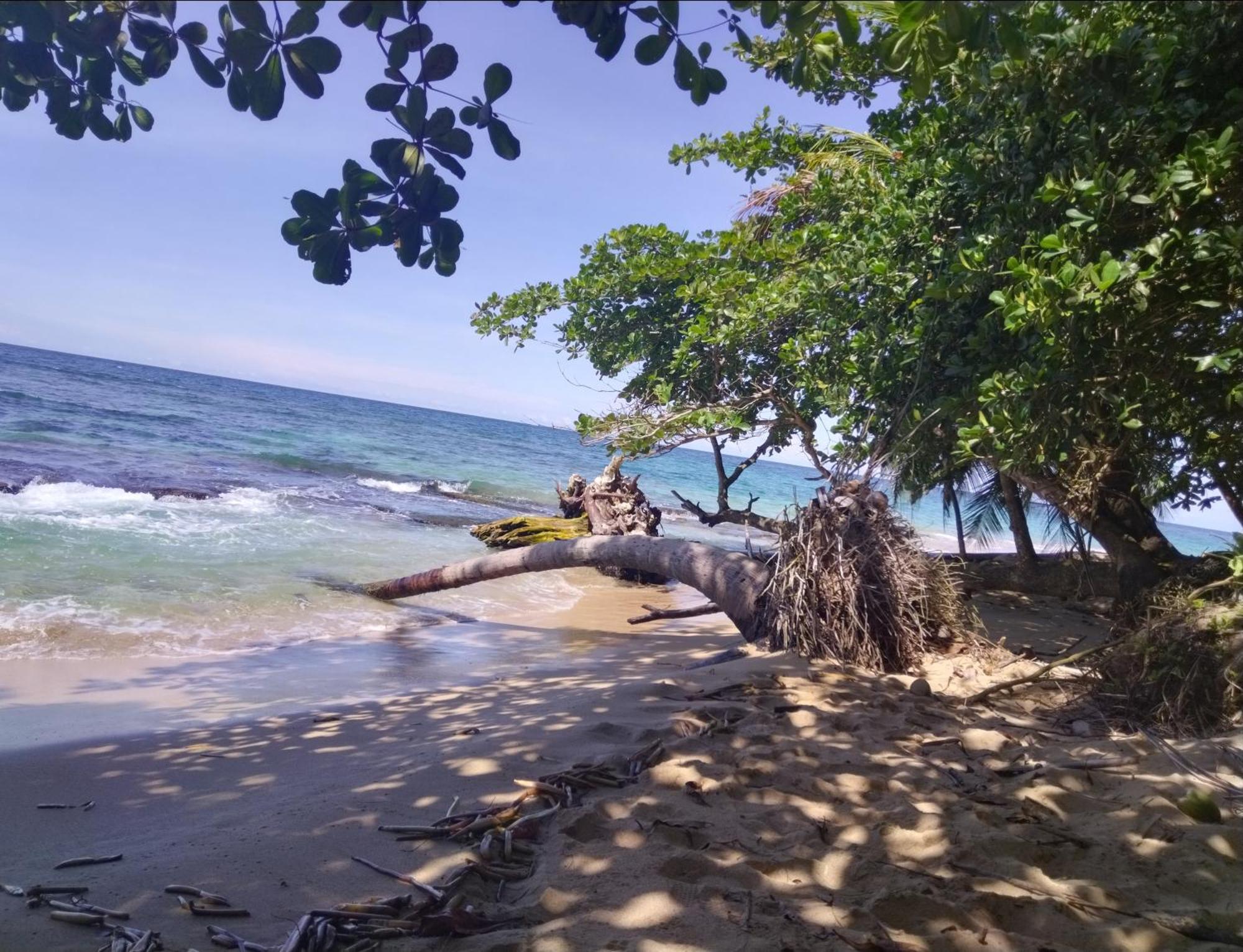 Serenity Houses Cahuita Esterno foto