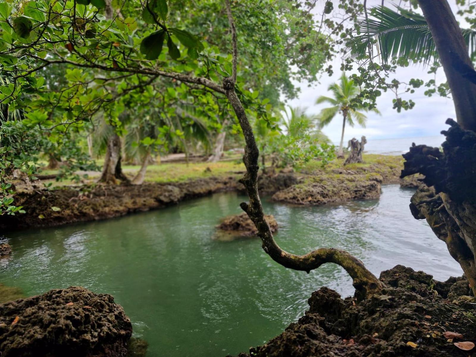 Serenity Houses Cahuita Esterno foto